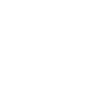 Les Raconteurs